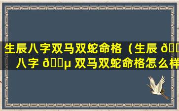 生辰八字双马双蛇命格（生辰 🌸 八字 🌵 双马双蛇命格怎么样）